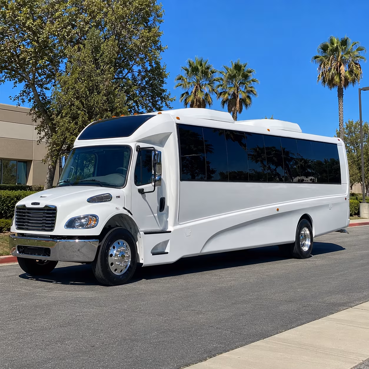 bridal party minibus rentals across the charleston peninsula