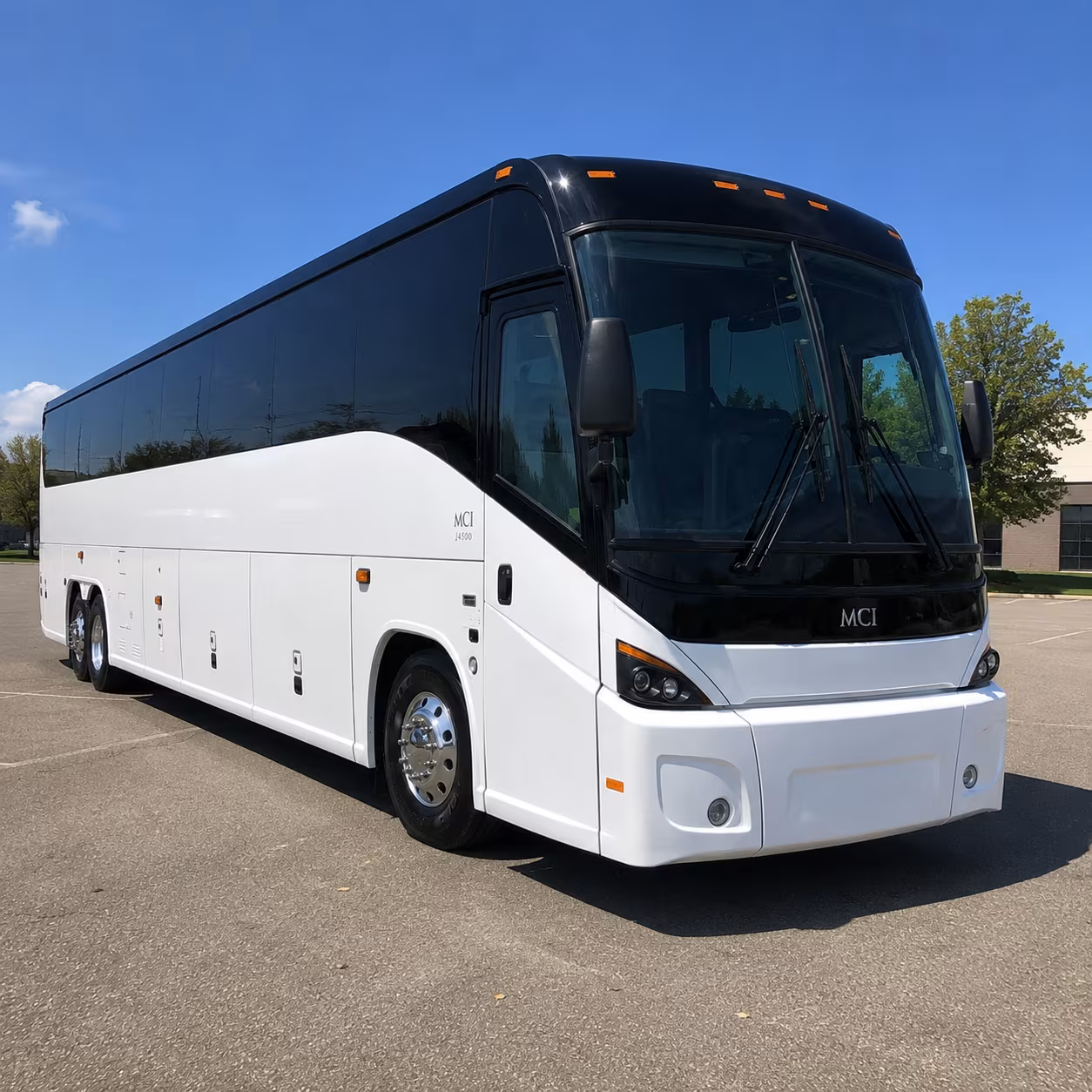 charleston 45 passenger charter bus