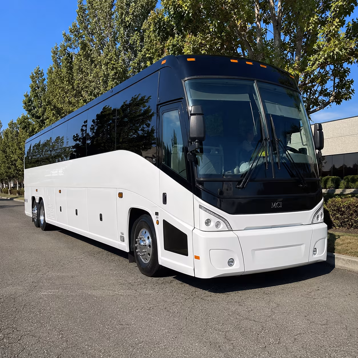 charleston 50 passenger charter bus