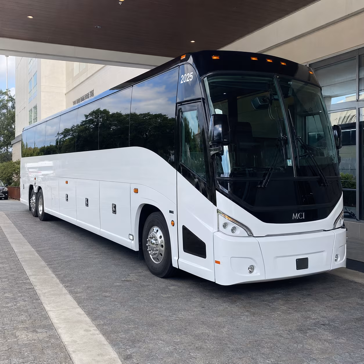 charleston 54 passenger charter bus