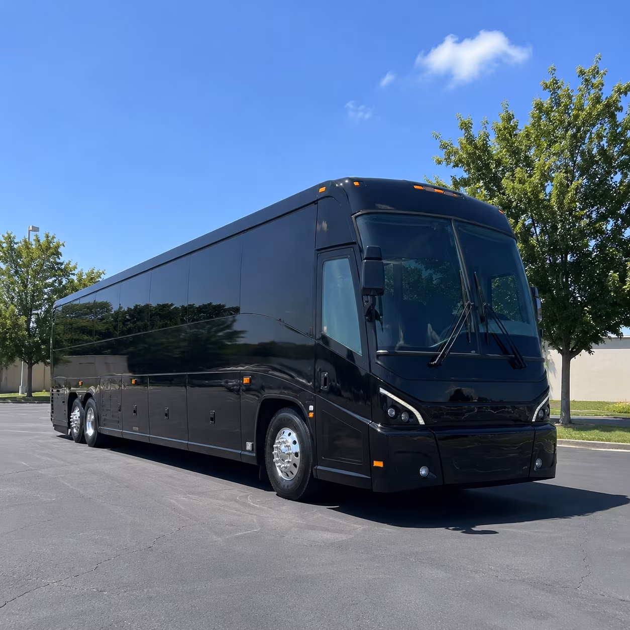 charleston 56 passenger charter bus