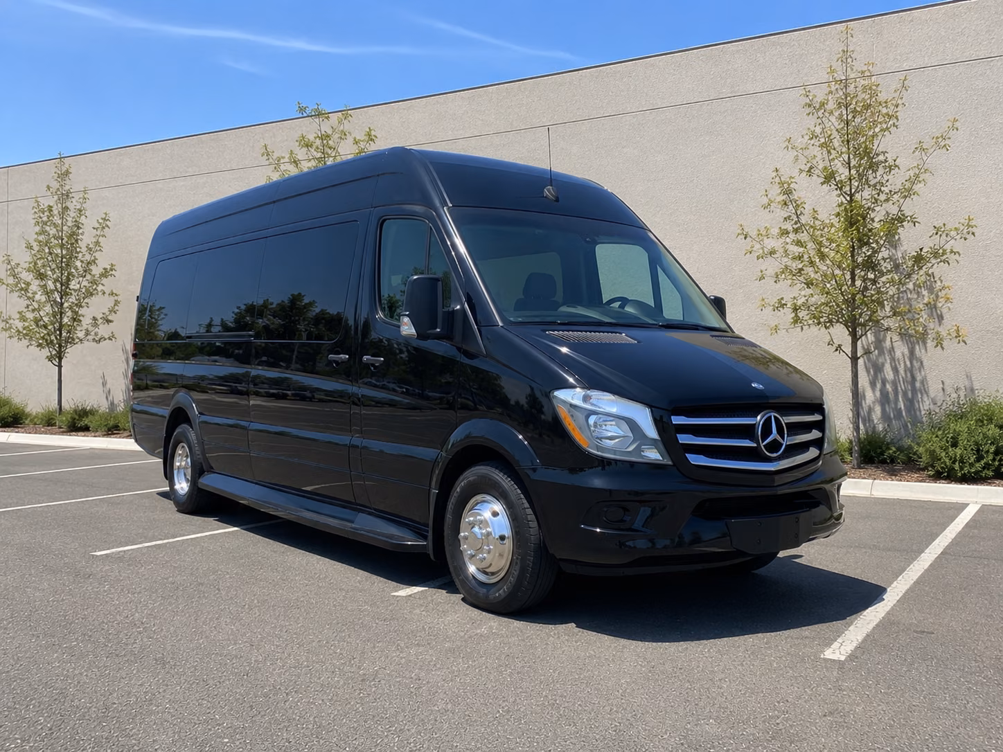charleston wedding transportation
