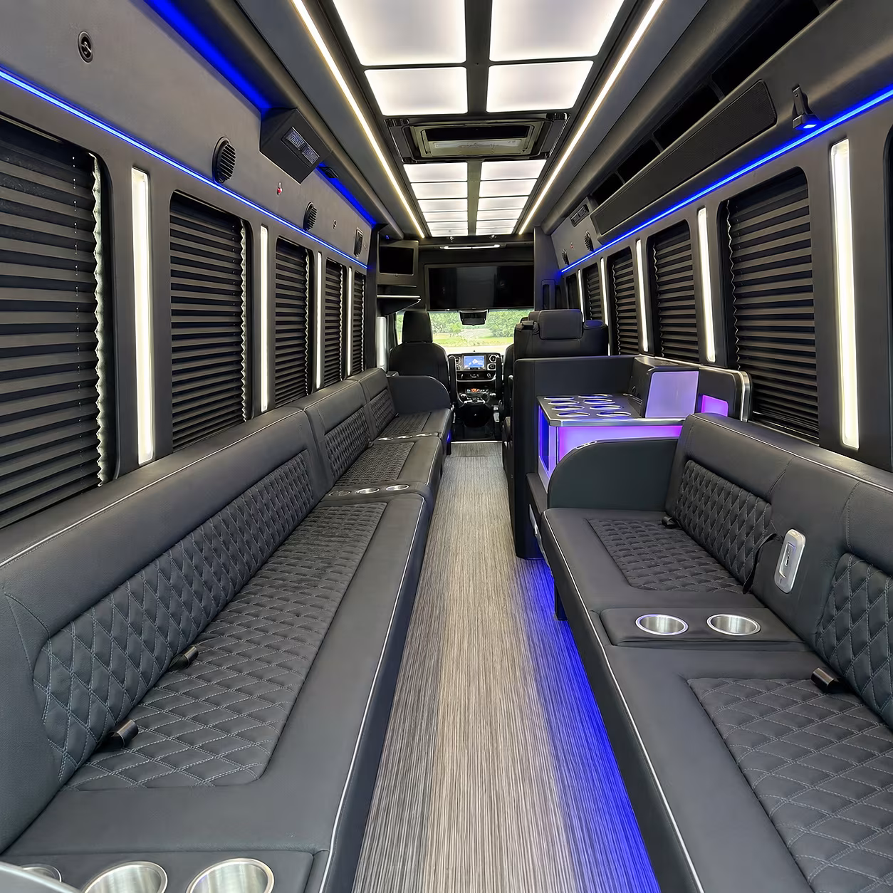 party buses and charter buses to charleston riverdogs games at riley park